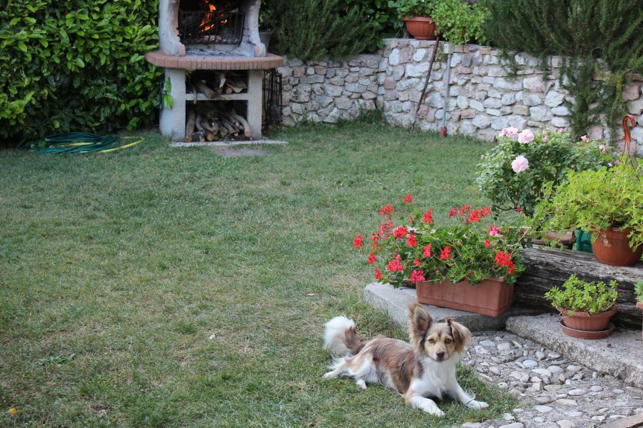 Agriturismo Roccagelli Vallo di Nera ภายนอก รูปภาพ