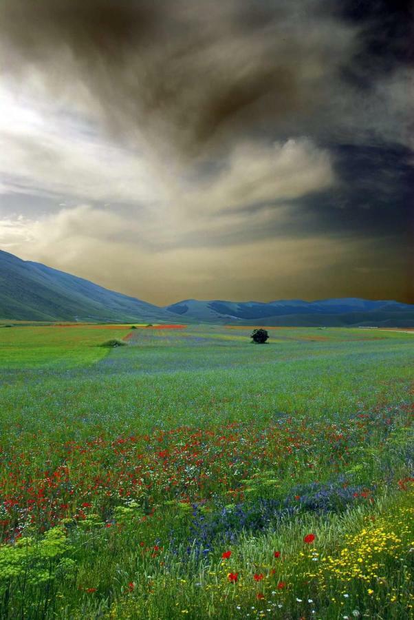 Agriturismo Roccagelli Vallo di Nera ภายนอก รูปภาพ